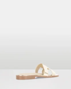 Harp