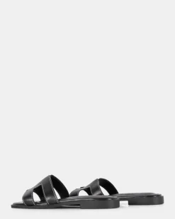 Harp